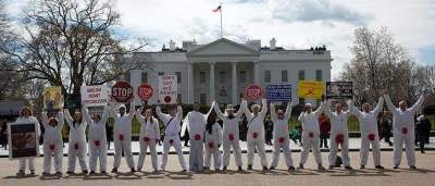 Manifestação contra a circuncisão de rotina em frente à Casa Branca
