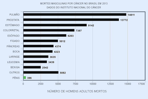 Infográfico sobre mortes por câncer no Brasil